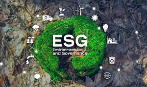 Understanding ESG Reporting - Vert Energy Group